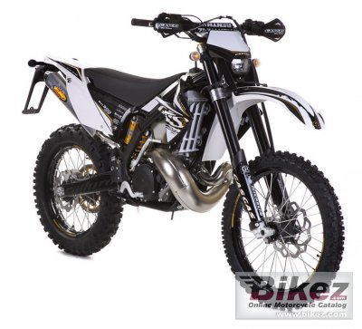 2010 GAS GAS EC 125 2T Racing photo